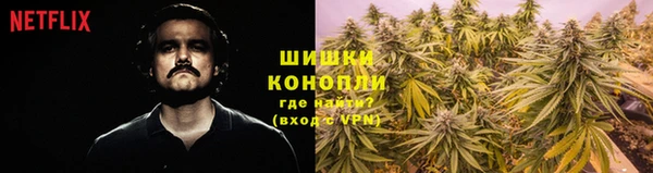 метадон Осташков