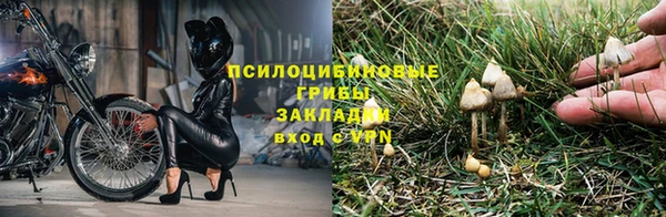 прущая мука Осинники