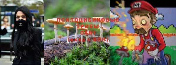 трава Беслан